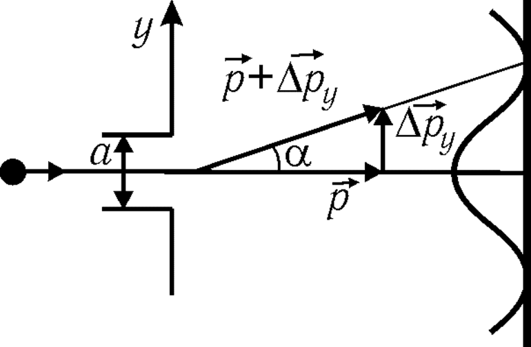 Квантовая механика для чайников — основные положения, принципы и законы