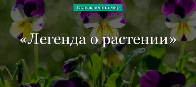 Легенда о растении (2 класс, окружающий мир)