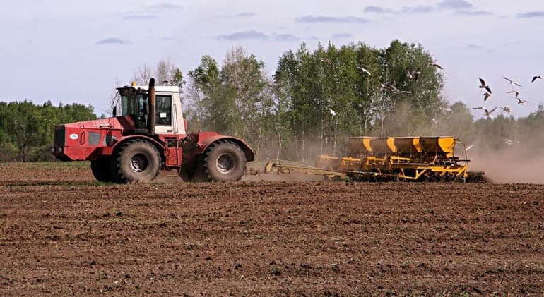 Лекарственные растения &mdash; описание по окружающему миру для 2 класса