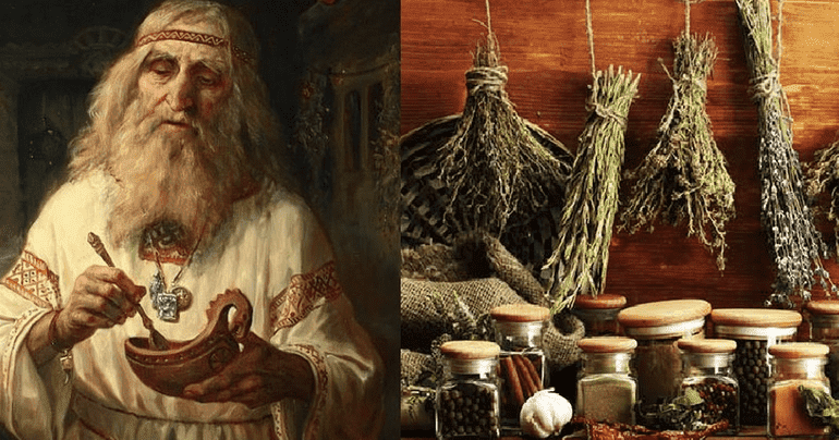 Лекарственные растения &mdash; описание по окружающему миру для 2 класса