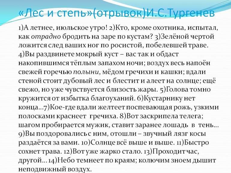 «Лес и степь» — краткое содержание рассказа И.С. Тургенева
