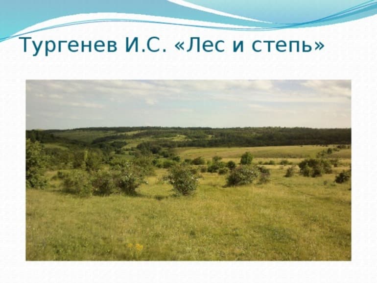 «Лес и степь» — краткое содержание рассказа И.С. Тургенева