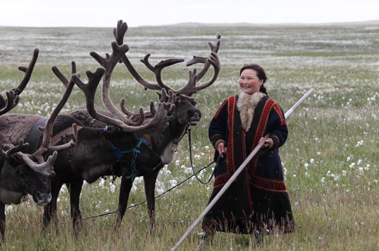 Лесотундра России &mdash; положение, характеристика и уникальность флоры и фауны