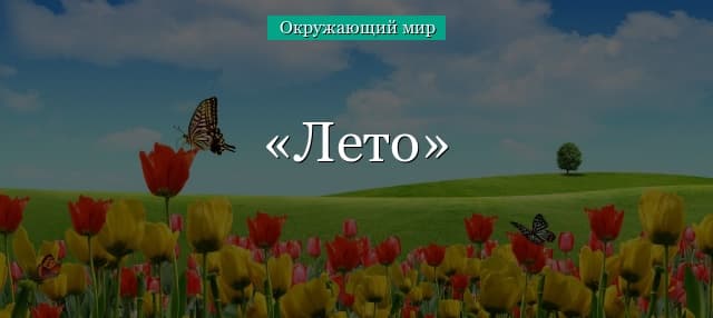 Лето (1 класс, тема окружающего мира)