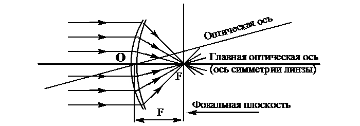Линзы — виды, характеристика и свойства
