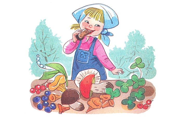 «Лисичкин хлеб» — краткое содержание рассказа М.М. Пришвина для читательского дневника