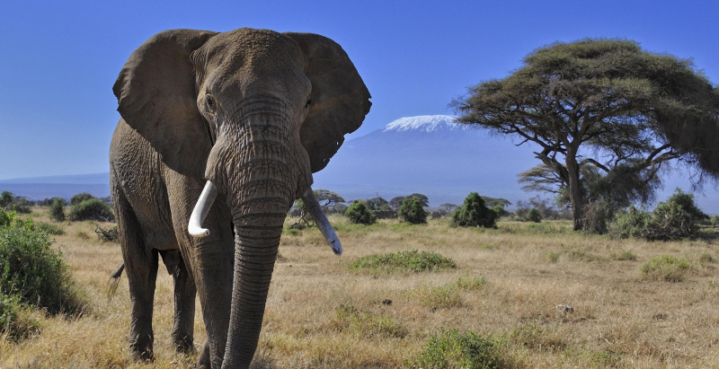 Материки Земли &mdash; сколько их, как называются и чем отличаются