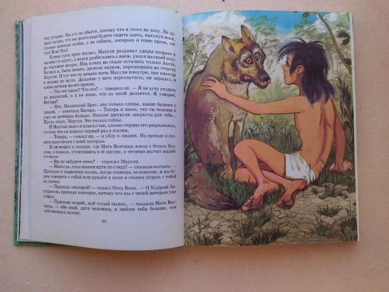 &laquo;Маугли&raquo; &mdash; краткое содержание рассказа &laquo;Книги джунглей&raquo; Редьярда Киплинга