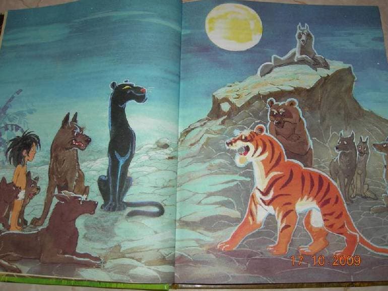 &laquo;Маугли&raquo; &mdash; краткое содержание рассказа &laquo;Книги джунглей&raquo; Редьярда Киплинга