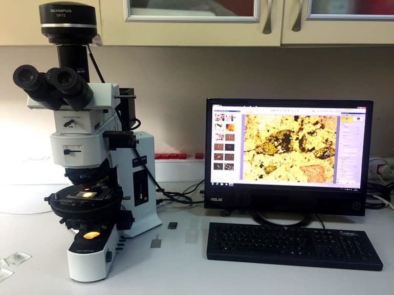 Методы исторического исследования — принципы, виды и структура