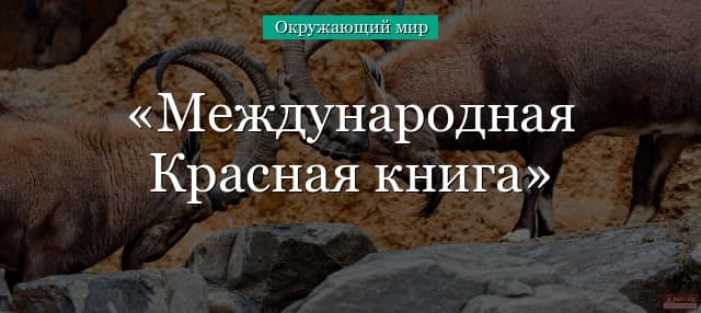Международная красная книга – список животных и растений (4 класс)