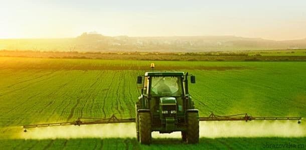 Межотраслевые комплексы России- важнейшие и ведущие в таблице для 9 класса