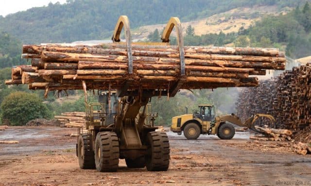 Межотраслевые комплексы России- важнейшие и ведущие в таблице для 9 класса