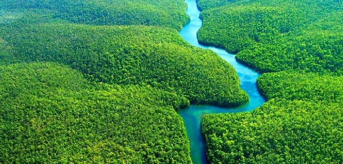 Миграции населения (10 класс, география) &ndash; виды и причины