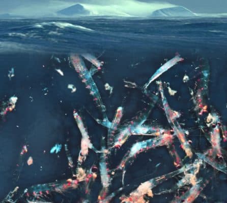 Мировой океан (5 класс) &ndash; что называют, деятельность, места, географическое положение и структура