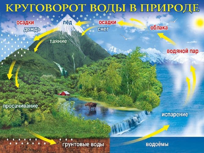 Мировой океан и его части (7 класс, география)