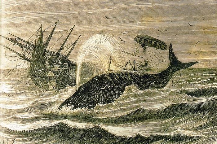«Моби Дик, или Белый кит» — краткое содержание романа Германа Мелвилла