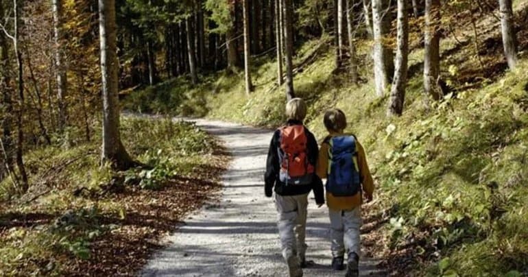 &laquo;Мститель&raquo; &mdash; краткое содержание рассказа Владимира Солоухина