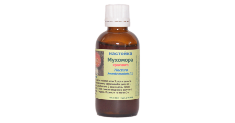 Мухомор &mdash; характеристика, особенности строения и применение