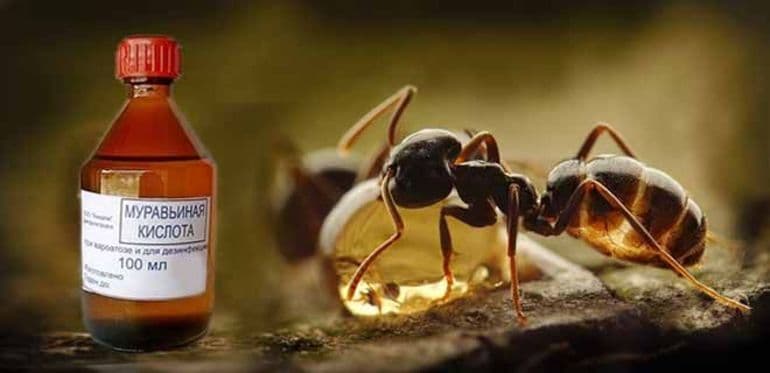 Муравьиная кислота — формула, свойства, получение и применение