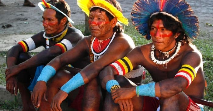 Население Бразилии  &ndash; численность, плотность, возрастной состав