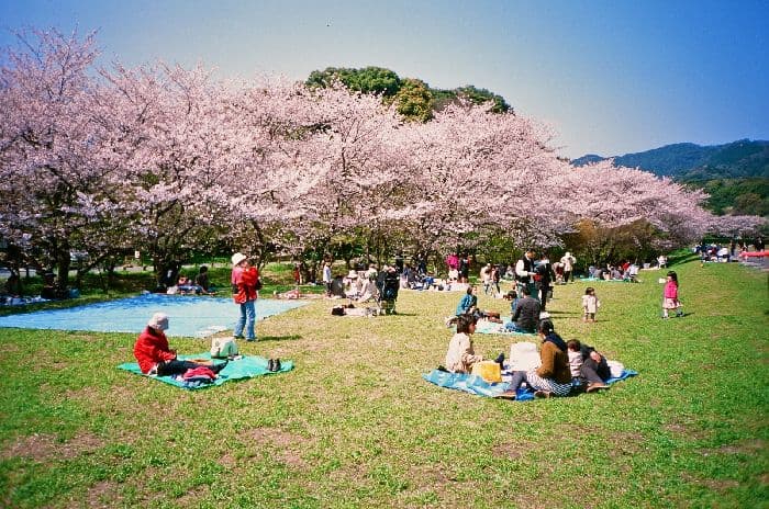 Население Японии – численность и плотность