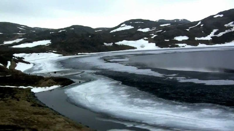 Наши ближайшие соседи (3 класс, окружающий мир)