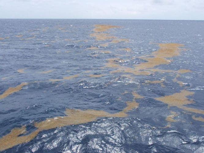 Название морей на Земле списком