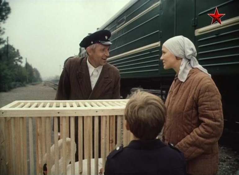 «Не стреляйте в белых лебедей» — краткое содержание произведения Бориса Васильева