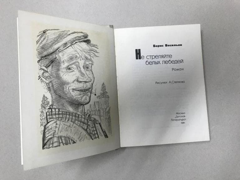 «Не стреляйте в белых лебедей» — краткое содержание произведения Бориса Васильева