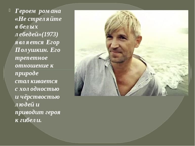 «Не стреляйте в белых лебедей» — краткое содержание произведения Бориса Васильева