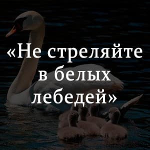 «Не стреляйте в белых лебедей» краткое содержание романа Бориса Васильева – читать пересказ онлайн