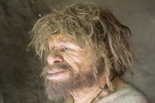 Неандерталец – это кто такой, исторический возраст и какому виду относится