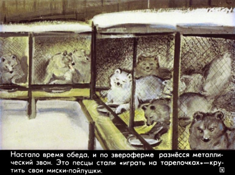 &laquo;Недопесок&raquo; &mdash; краткое содержание повести Юрия Коваля