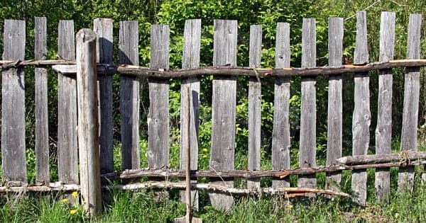 «НекрашеНый» или «некрашеННый», как правильно пишется?