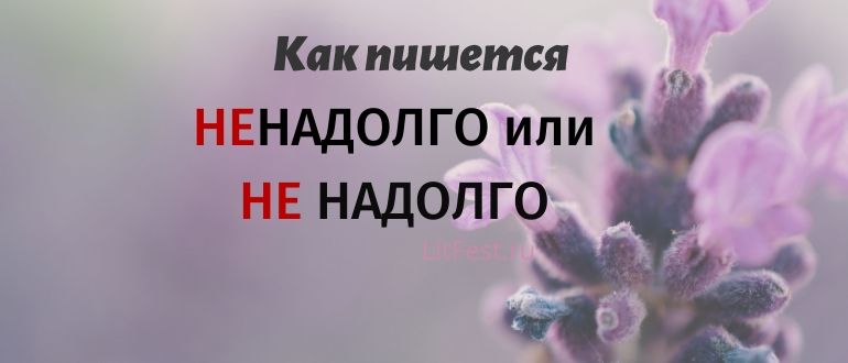 «Ненадолго» или «не надолго», слитно или раздельно