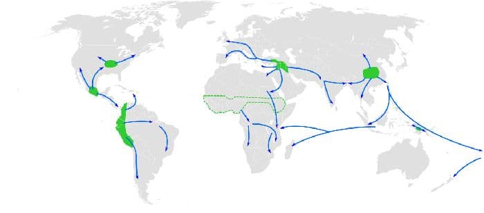 Неолитическая революция – что это такое, определение