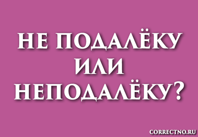 Неподалёку или не подалёку: как правильно пишется слово?