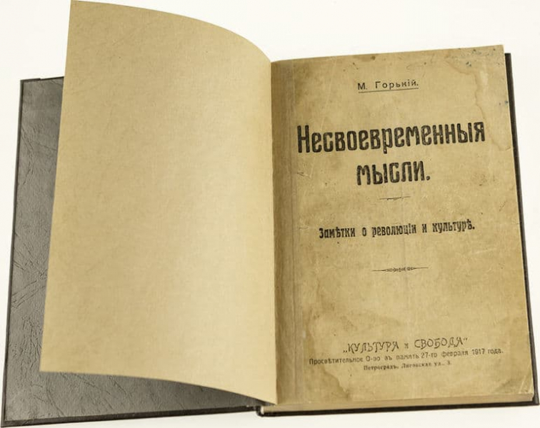 «Несвоевременные мысли» — анализ произведения М. Горького