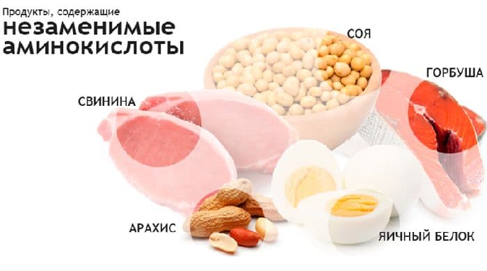 Незаменимые аминокислоты списком (химия, 11 класс)