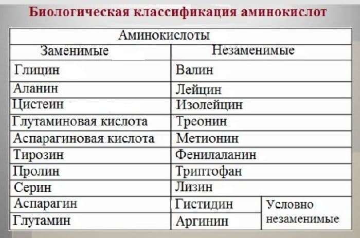 Незаменимые аминокислоты списком (химия, 11 класс)