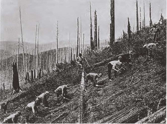 Новый курс Рузвельта – кратко о главном в таблице (9 класс)