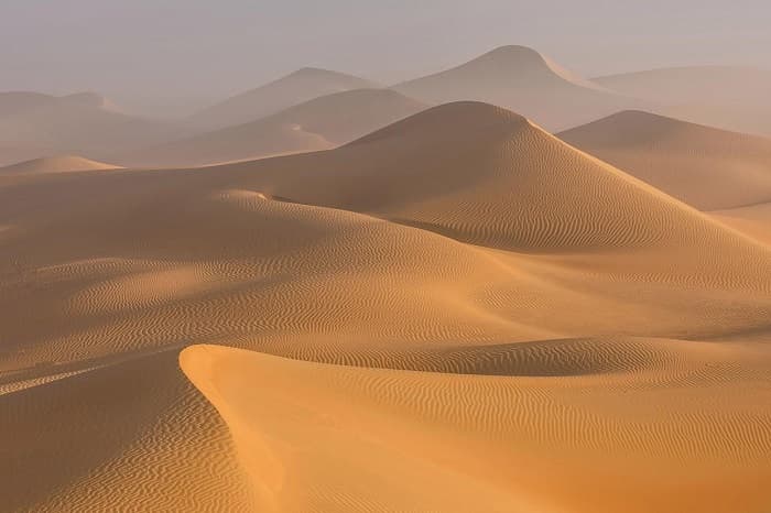 Объединенные Арабские Эмираты — форма правления, экономика и промышленность