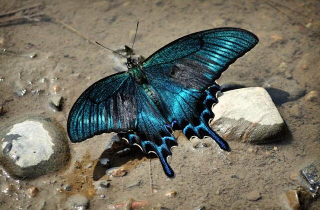 Объекты всемирного наследия в России – список примеров объектов на территории кратко (3-4 класс)