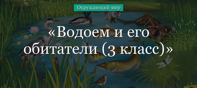 Обитатели соленых и пресных водоемов (3 класс)