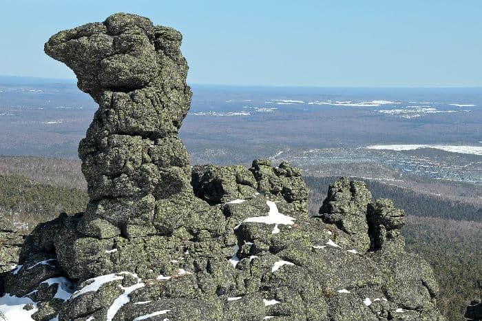 Охрана природы (7 класс, география)