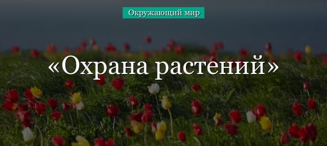 Охрана растений (3 класс, окружающий мир)