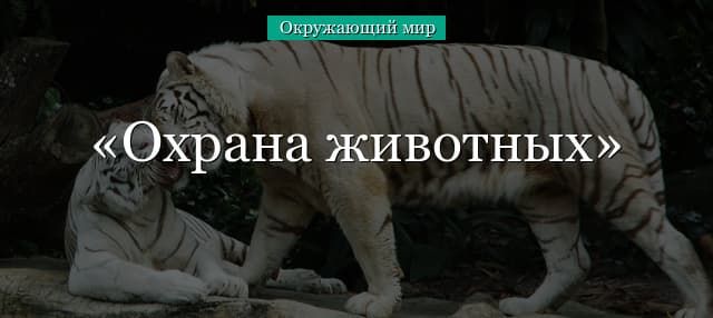 Охрана животных (3 класс, окружающий мир)