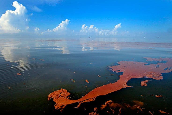 Окружающий мир глазами эколога (4 класс)