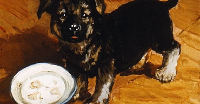 «Он убил мою собаку» — краткое содержание рассказа Юрия Яковлева